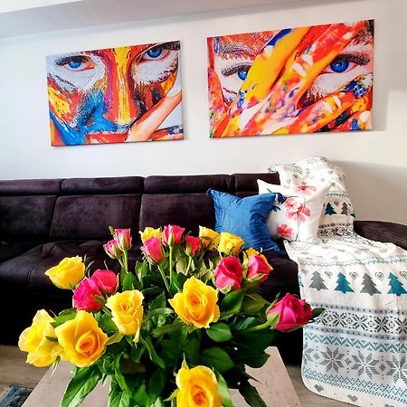 Apartament Jelonek W Karkonoszach Jelenia Gora Exterior photo