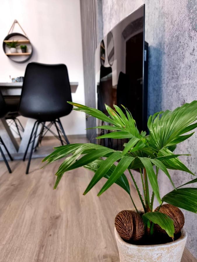 Apartament Jelonek W Karkonoszach Jelenia Gora Exterior photo