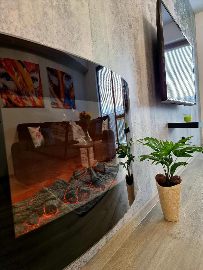 Apartament Jelonek W Karkonoszach Jelenia Gora Exterior photo