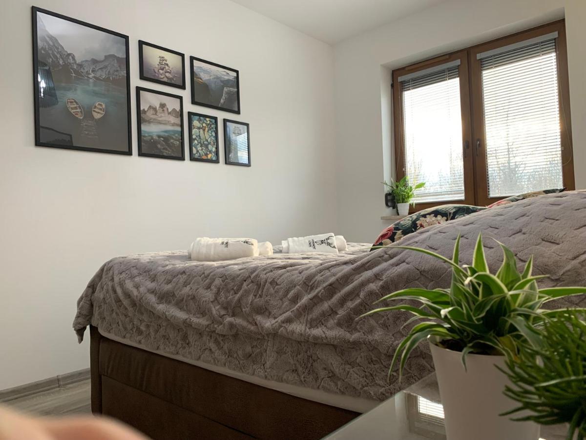 Apartament Jelonek W Karkonoszach Jelenia Gora Exterior photo